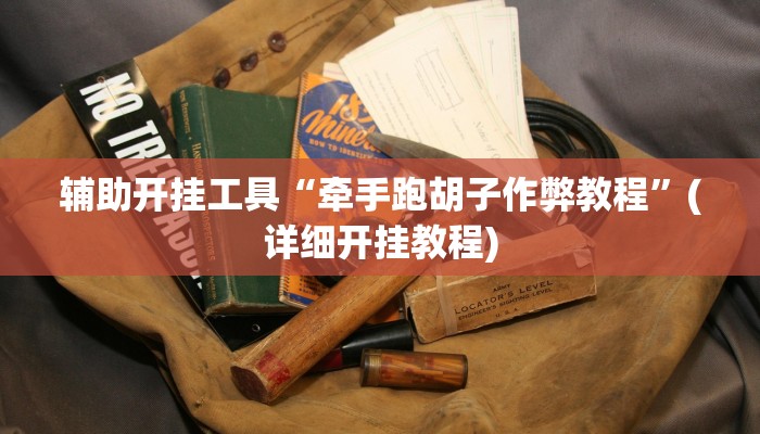 辅助神器“西南九九确实真的有挂”(详细开挂教程)