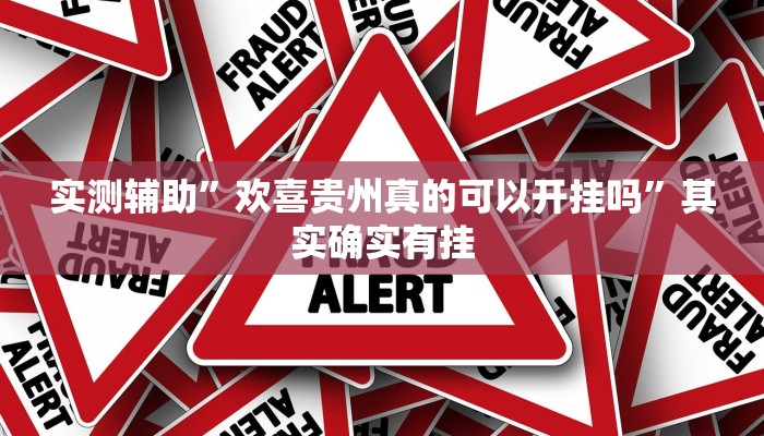 辅助神器“琼崖海南麻将外卦神器”其实确实有挂