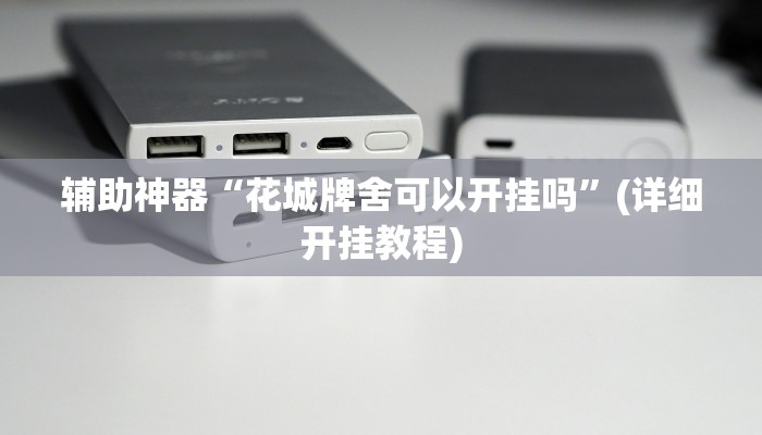 辅助神器“花城牌舍可以开挂吗”(详细开挂教程)