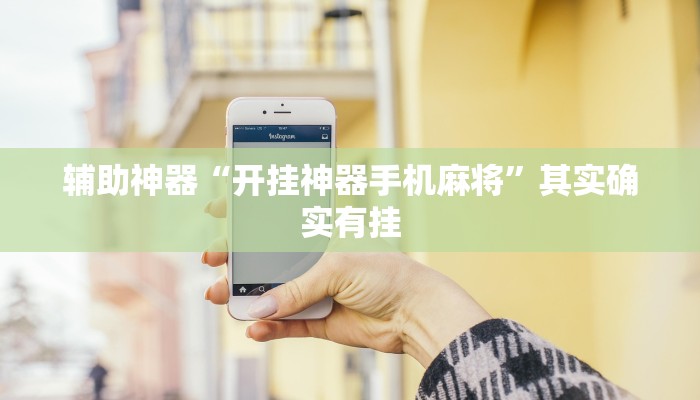 辅助神器“微乐免费房间开挂神器”其实确实有挂