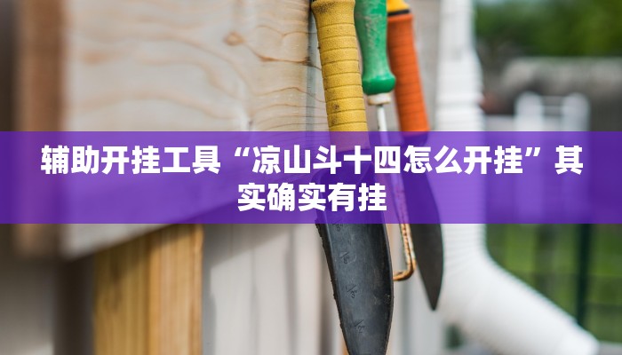 辅助开挂工具“黄帝大厅透视挂”其实确实有挂