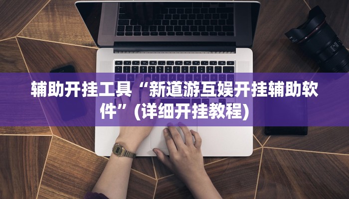 辅助神器“新人皇有透视挂吗”(详细开挂教程)