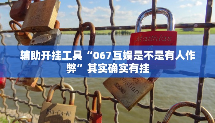 辅助神器“wepoker透视挂购买”其实确实有挂