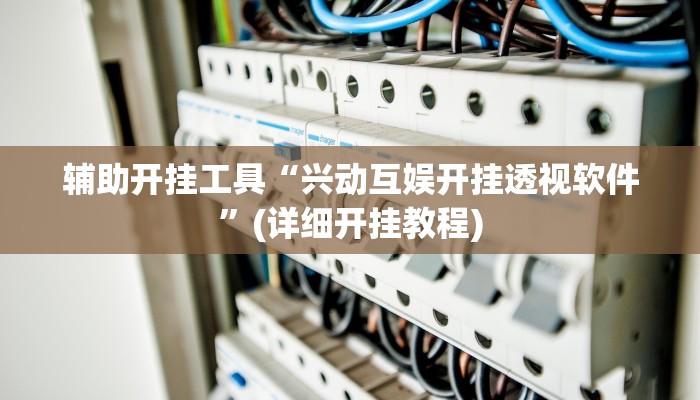 辅助开挂工具“老夫子大厅确实真的有挂”(详细开挂教程)