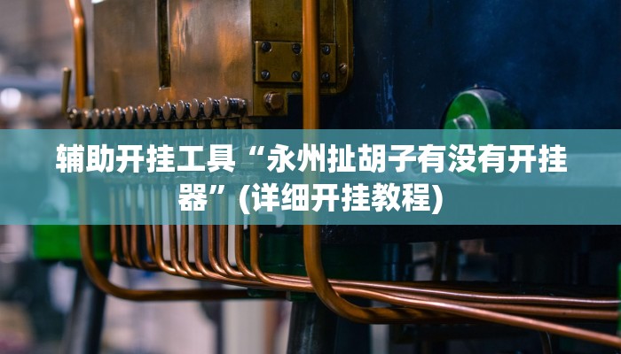 辅助开挂工具“永州扯胡子有没有开挂器”(详细开挂教程)