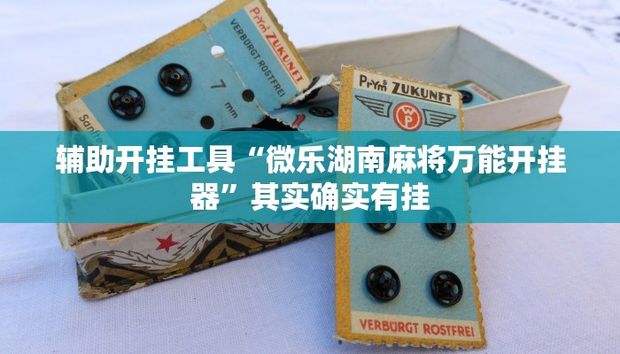 辅助神器“呼包鄂游戏开挂神器”(详细开挂教程)