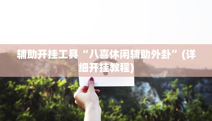 辅助开挂工具“八喜休闲辅助外卦”(详细开挂教程)