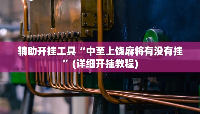 辅助开挂工具“中至上饶麻将有没有挂”(详细开挂教程)