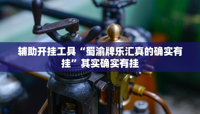 辅助神器“wepoker私人局开挂透视”(详细开挂教程)