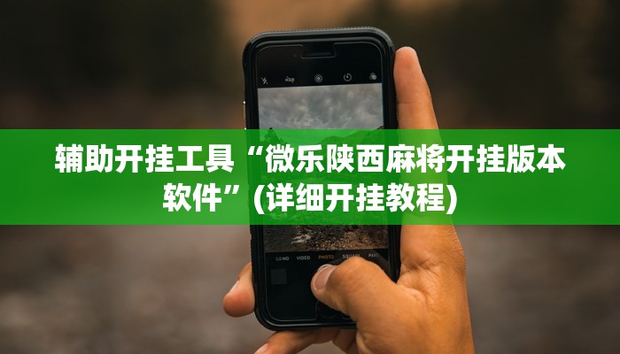 辅助开挂工具“微乐陕西麻将开挂版本软件”(详细开挂教程)