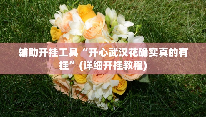 辅助开挂工具“开心武汉花确实真的有挂”(详细开挂教程)