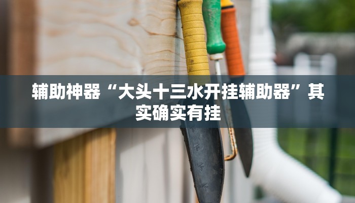 辅助神器“喜扣跑胡子万能开挂器”其实确实有挂