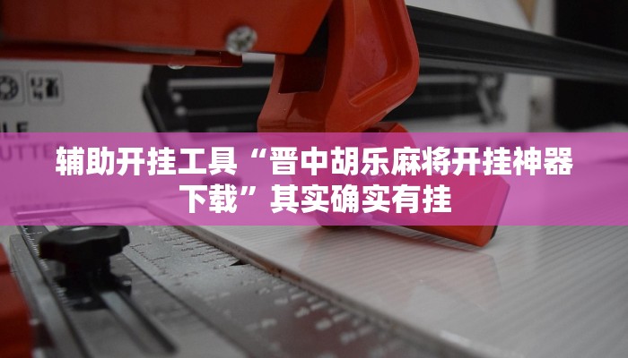 辅助开挂工具“晋中胡乐麻将开挂神器下载”其实确实有挂
