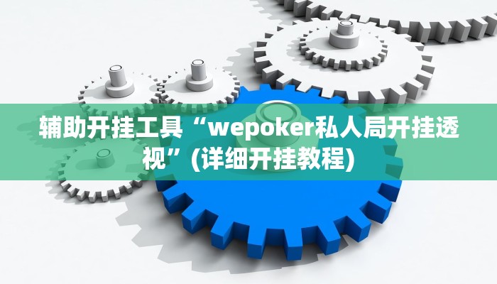 辅助开挂工具“wepoker私人局开挂透视”(详细开挂教程)