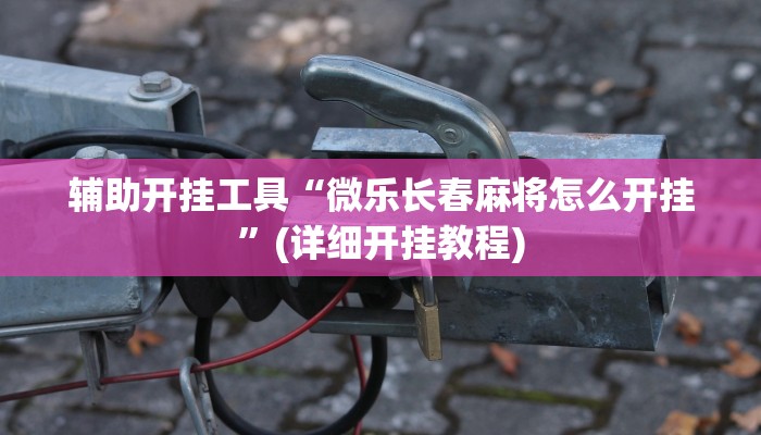 辅助开挂工具“微乐长春麻将怎么开挂”(详细开挂教程)