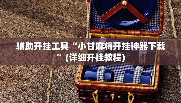 辅助开挂工具“小甘麻将开挂神器下载”(详细开挂教程)