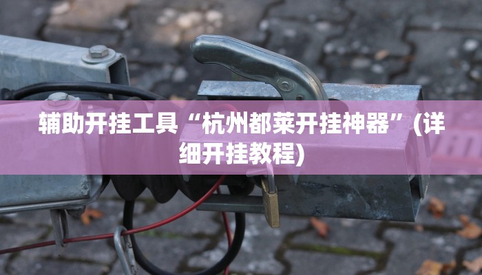 辅助神器“卡米大厅透视挂”其实确实有挂