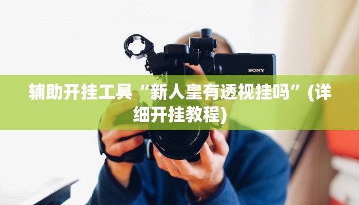 辅助开挂工具“新人皇有透视挂吗”(详细开挂教程)