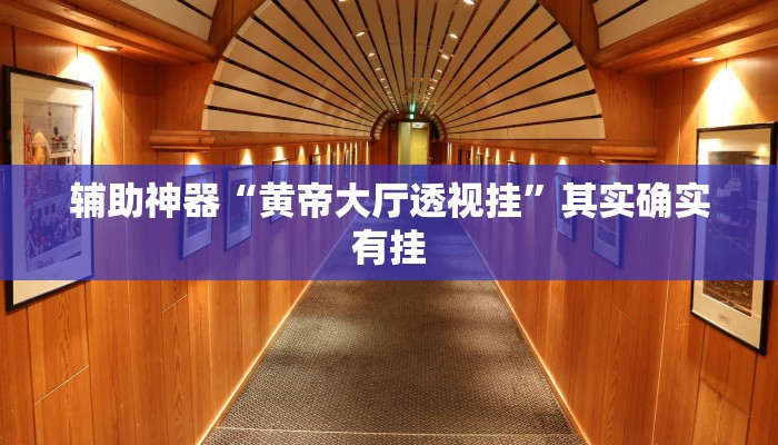 辅助神器“黄帝大厅透视挂”其实确实有挂