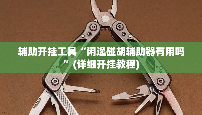 辅助开挂工具“闲逸碰胡辅助器有用吗”(详细开挂教程)