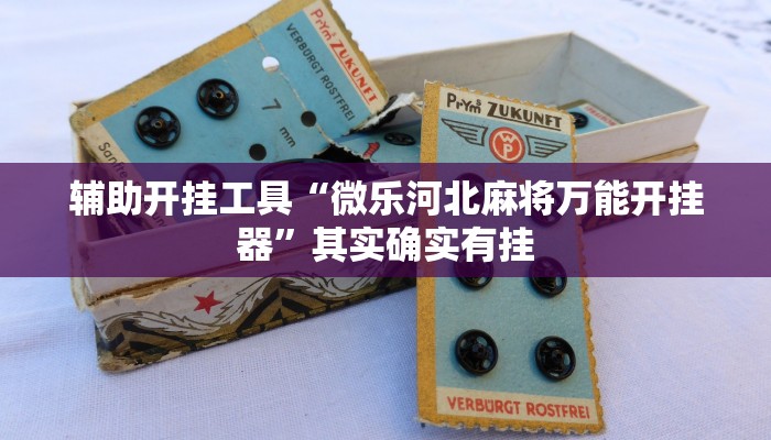 辅助开挂工具“微乐河北麻将万能开挂器”其实确实有挂