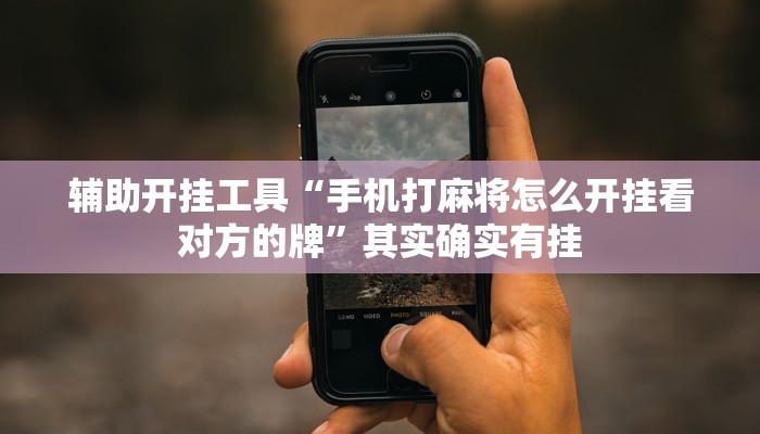 辅助开挂工具“手机打麻将怎么开挂看对方的牌”其实确实有挂