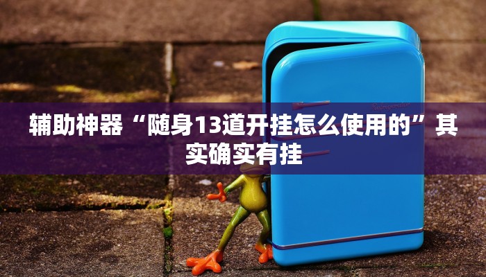 辅助神器“随身13道开挂怎么使用的”其实确实有挂