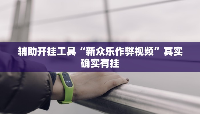 辅助开挂工具“新众乐作弊视频”其实确实有挂