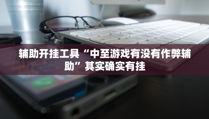 辅助开挂工具“中至游戏有没有作弊辅助”其实确实有挂