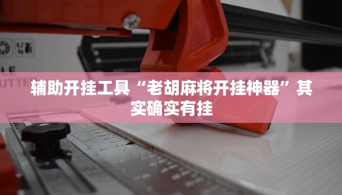 辅助开挂工具“老胡麻将开挂神器”其实确实有挂