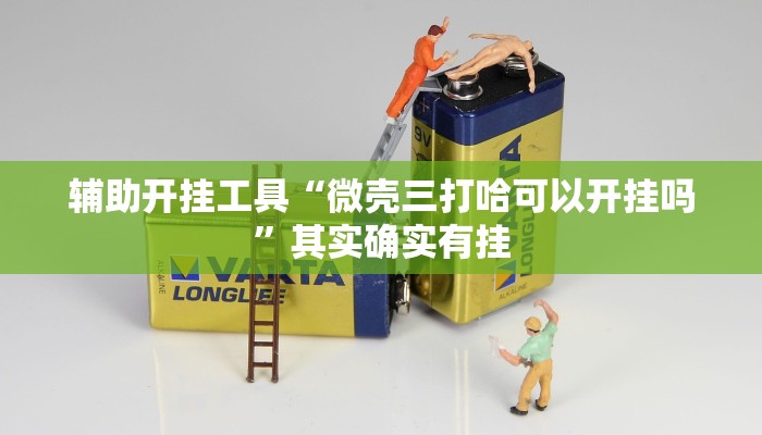 辅助开挂工具“微壳三打哈可以开挂吗”其实确实有挂