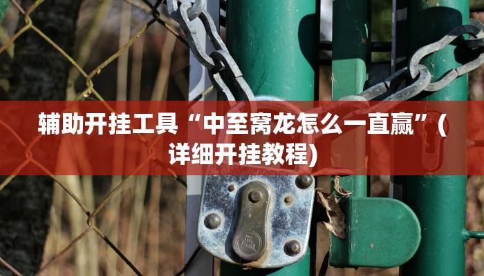 辅助开挂工具“中至窝龙怎么一直赢”(详细开挂教程)