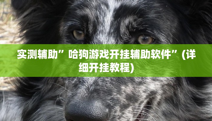 实测辅助”哈狗游戏开挂辅助软件”(详细开挂教程)
