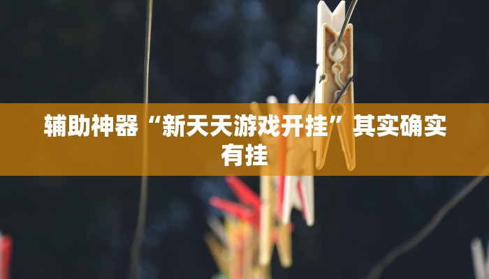 辅助神器“新天天游戏开挂”其实确实有挂