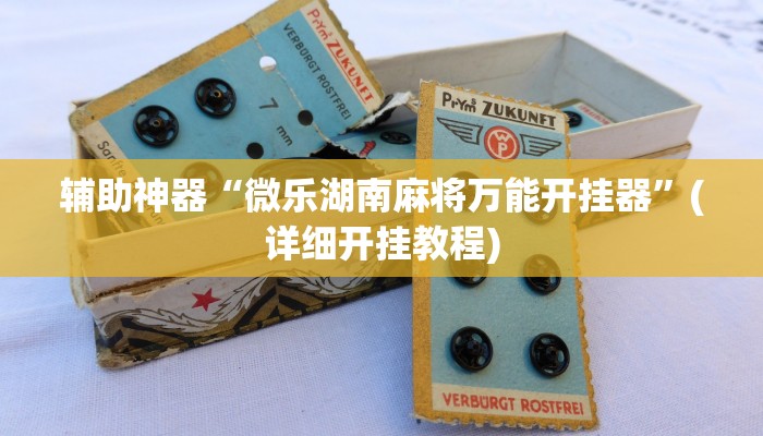 辅助神器“微乐湖南麻将万能开挂器”(详细开挂教程)