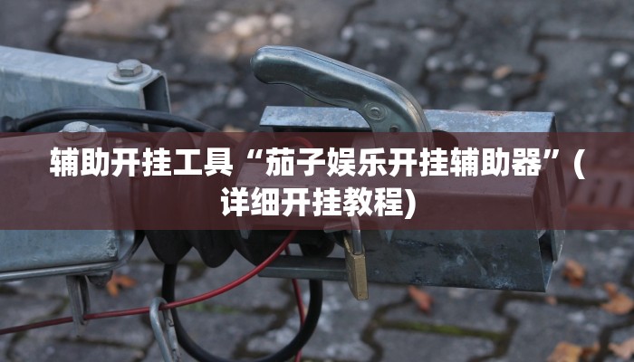 辅助开挂工具“茄子娱乐开挂辅助器”(详细开挂教程)
