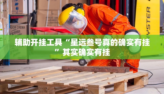 辅助开挂工具“星远叁号真的确实有挂”其实确实有挂