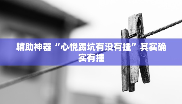 辅助神器“心悦踢坑有没有挂”其实确实有挂