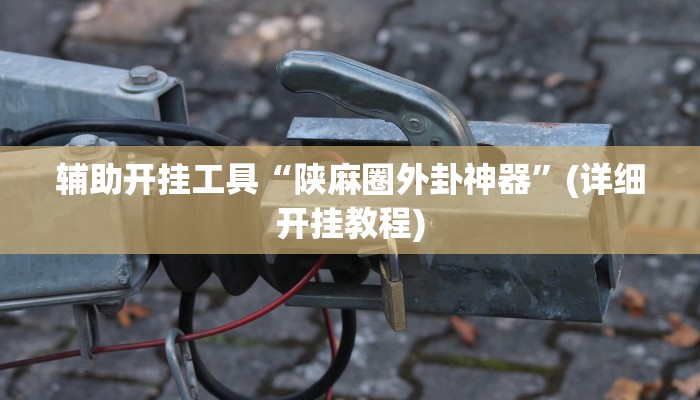 辅助开挂工具“陕麻圈外卦神器”(详细开挂教程)