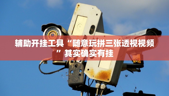 辅助开挂工具“随意玩拼三张透视视频”其实确实有挂