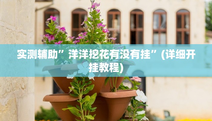 实测辅助”洋洋挖花有没有挂”(详细开挂教程)