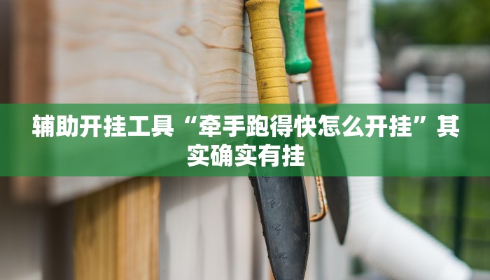 辅助开挂工具“牵手跑得快怎么开挂”其实确实有挂