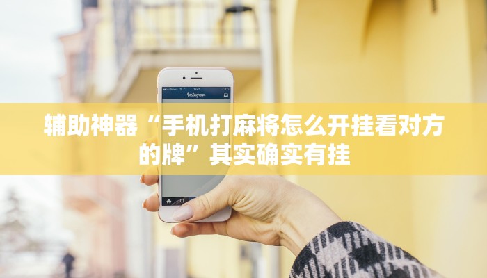 辅助神器“手机打麻将怎么开挂看对方的牌”其实确实有挂