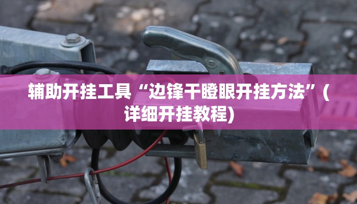 辅助开挂工具“边锋干瞪眼开挂方法”(详细开挂教程)