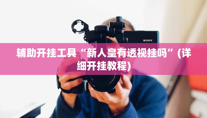 辅助开挂工具“新人皇有透视挂吗”(详细开挂教程)