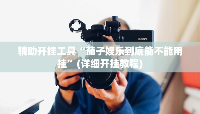 辅助开挂工具“茄子娱乐到底能不能用挂”(详细开挂教程)