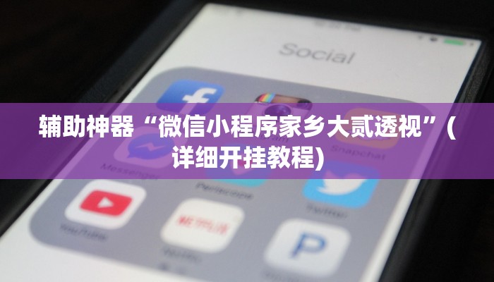 辅助神器“微信小程序家乡大贰透视”(详细开挂教程)