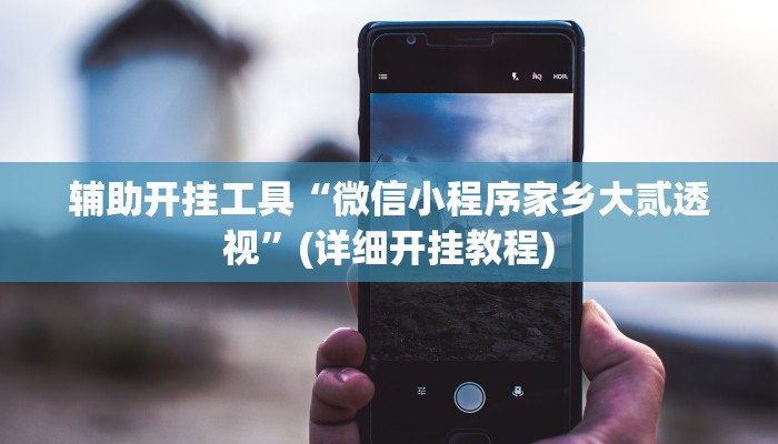 辅助开挂工具“微信小程序家乡大贰透视”(详细开挂教程)