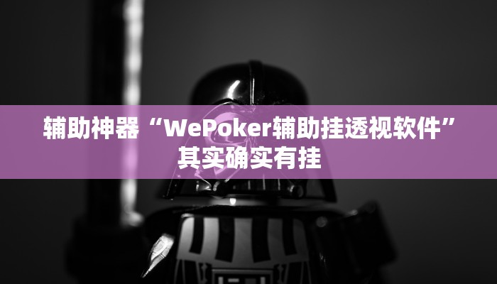 辅助神器“WePoker辅助挂透视软件”其实确实有挂