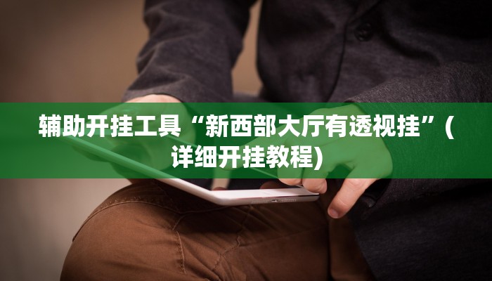 辅助开挂工具“新西部大厅有透视挂”(详细开挂教程)